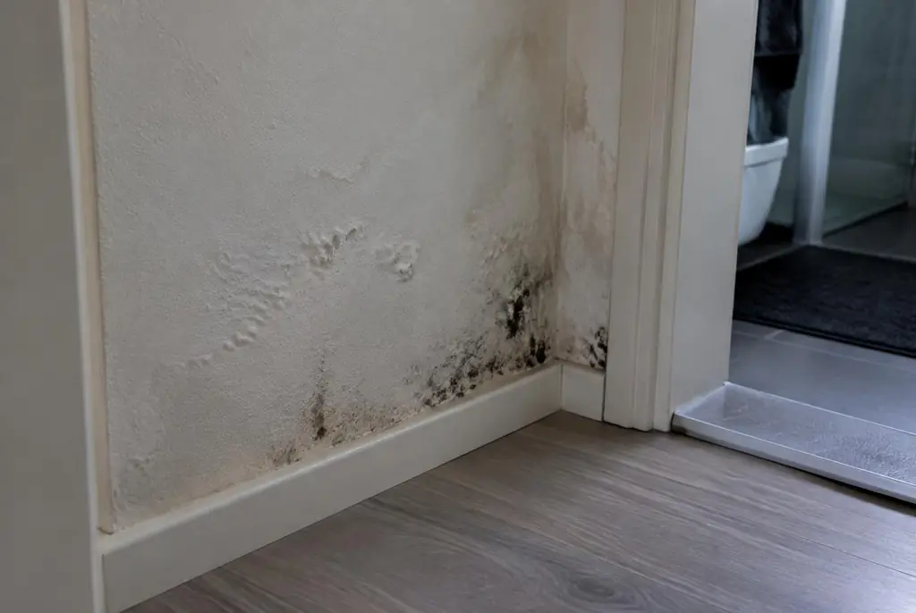 Lekdetectie Vierhouten – vochtplek met schimmel op een muur